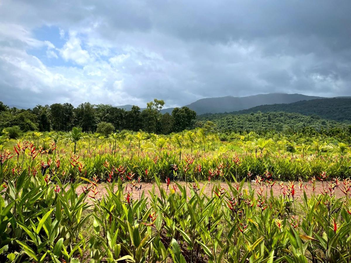 The Postcard Hideaway, Netravali Wildlife Sanctuary, Goa Hotel Vichondrem Luaran gambar