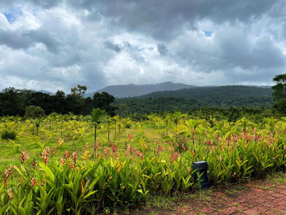 The Postcard Hideaway, Netravali Wildlife Sanctuary, Goa Hotel Vichondrem Luaran gambar