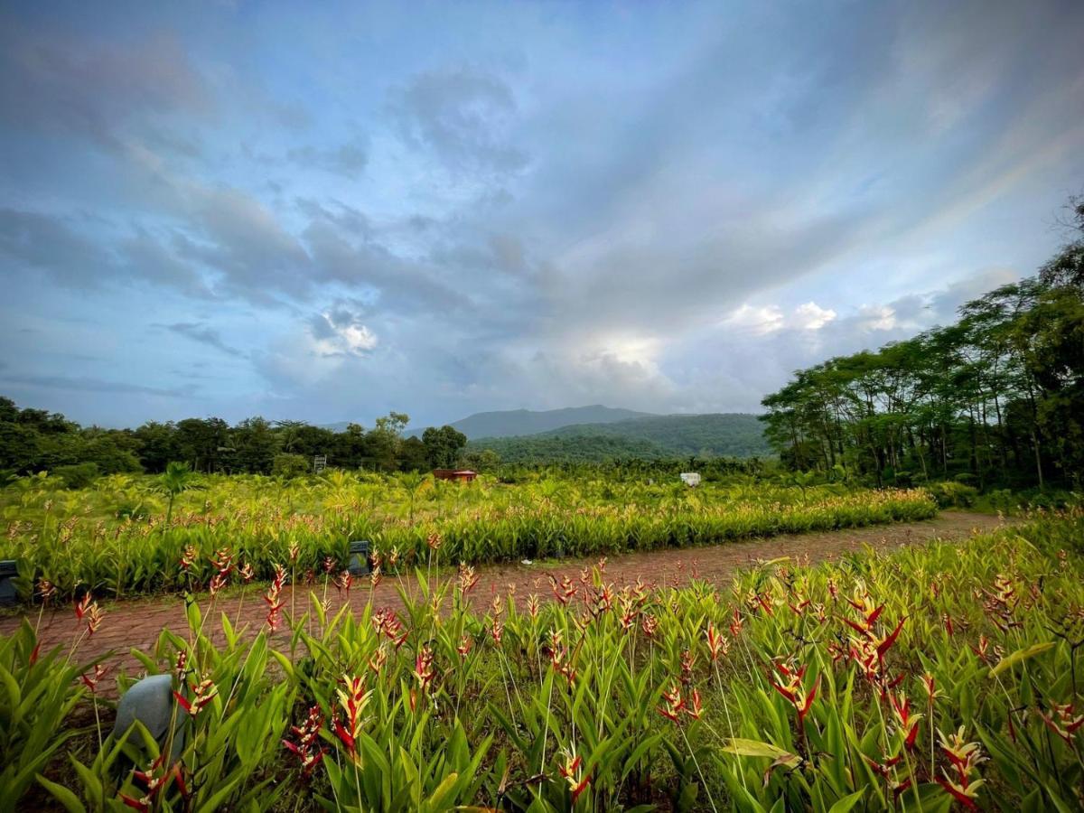 The Postcard Hideaway, Netravali Wildlife Sanctuary, Goa Hotel Vichondrem Luaran gambar
