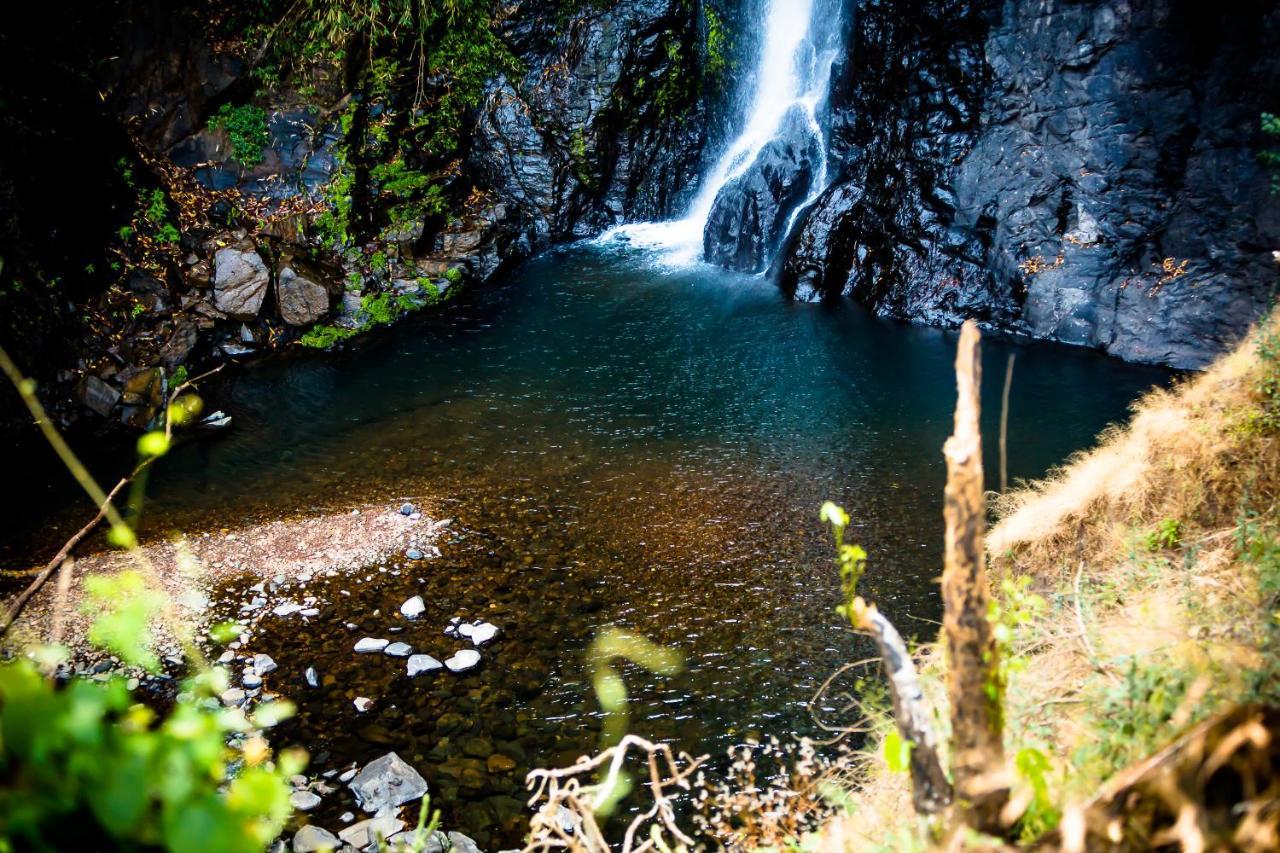 The Postcard Hideaway, Netravali Wildlife Sanctuary, Goa Hotel Vichondrem Luaran gambar