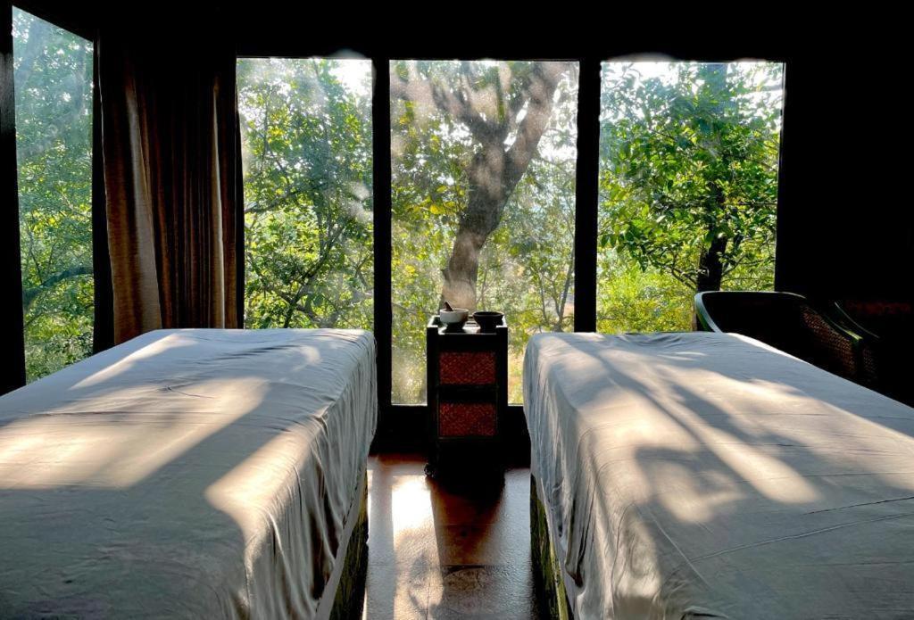 The Postcard Hideaway, Netravali Wildlife Sanctuary, Goa Hotel Vichondrem Luaran gambar