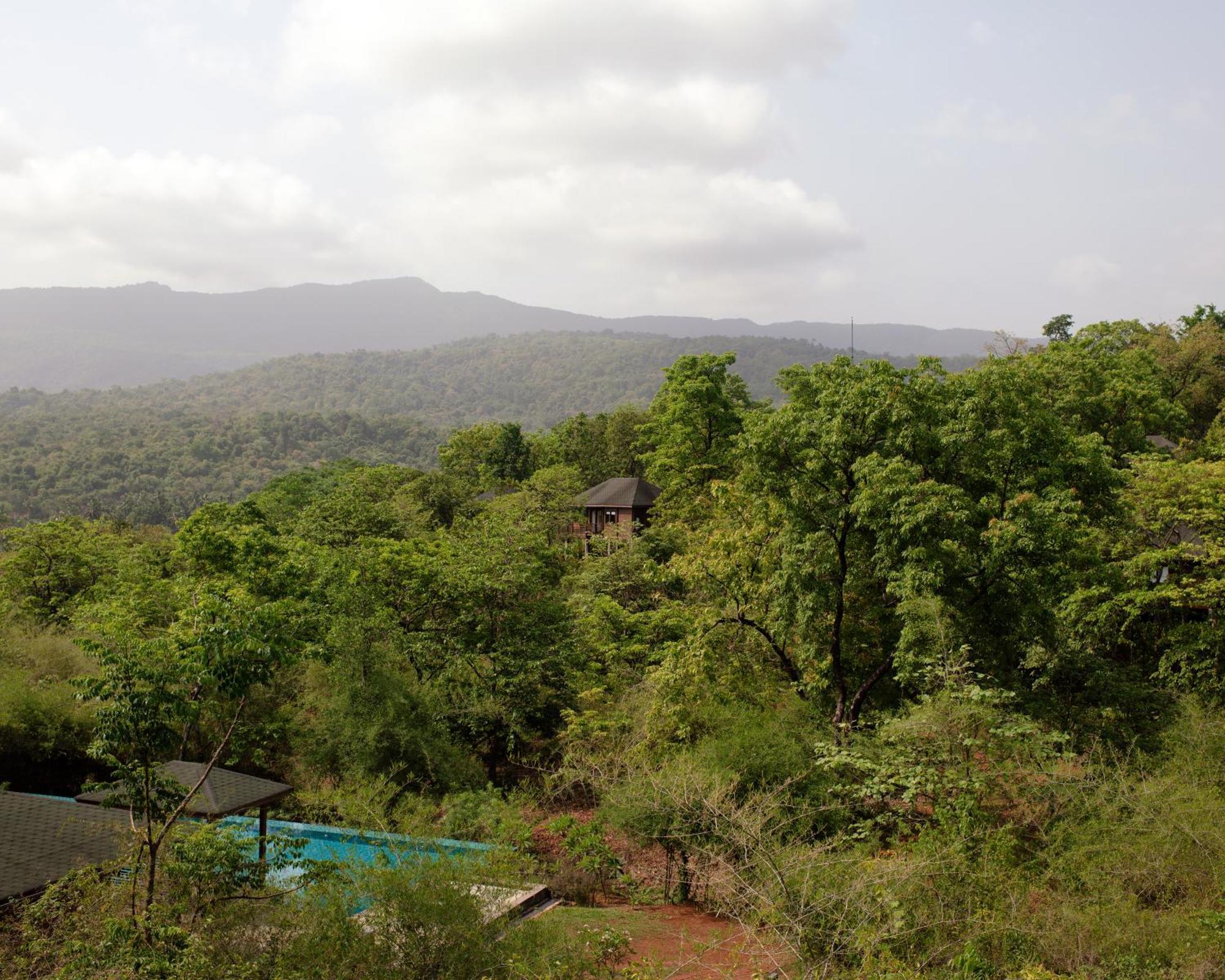 The Postcard Hideaway, Netravali Wildlife Sanctuary, Goa Hotel Vichondrem Luaran gambar