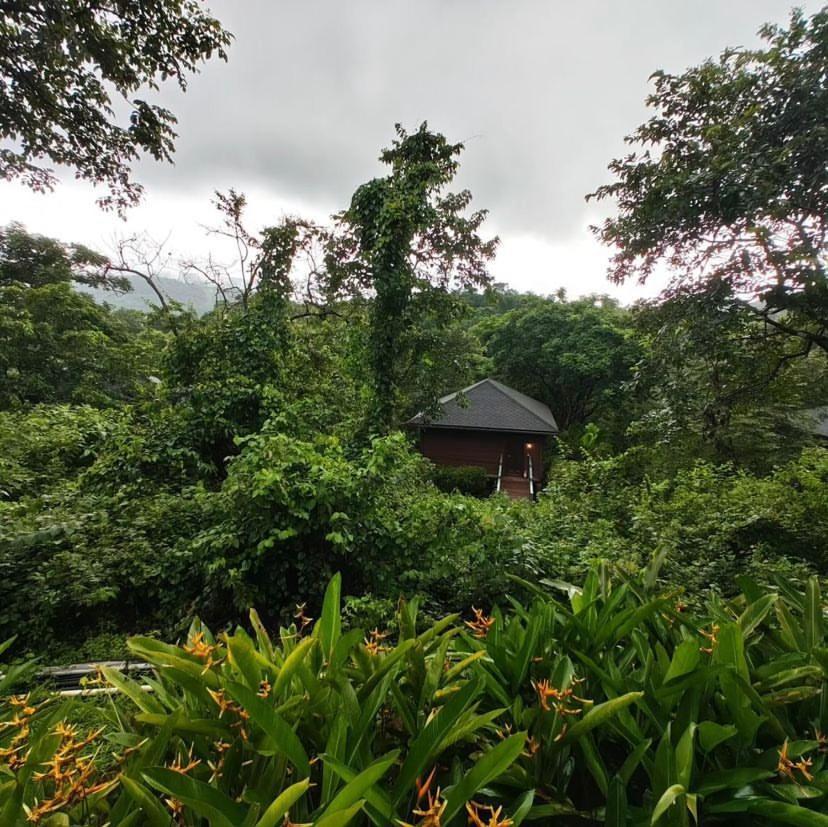 The Postcard Hideaway, Netravali Wildlife Sanctuary, Goa Hotel Vichondrem Luaran gambar