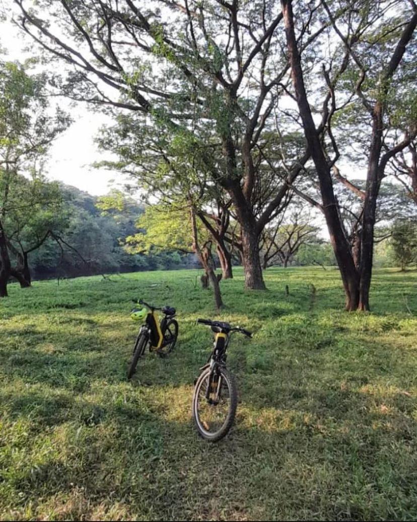 The Postcard Hideaway, Netravali Wildlife Sanctuary, Goa Hotel Vichondrem Luaran gambar